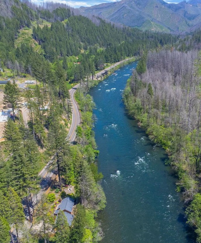 McKenzie River view